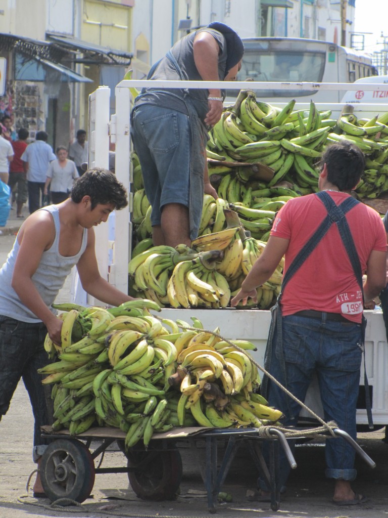 Bananas arriving