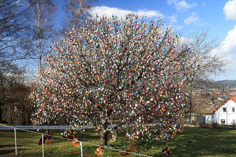 Easter egg tree, photo by Andrew Poison, Wikimedia Germany