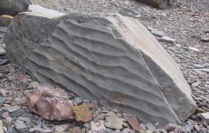 Fossilized wave at shore