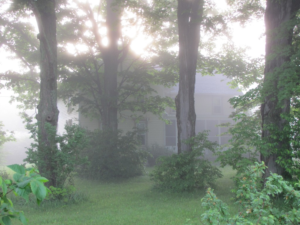 Foggy farmstead.